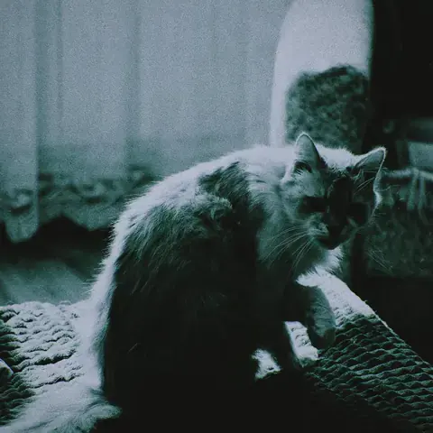 Photograph from Alexey’s personal archive